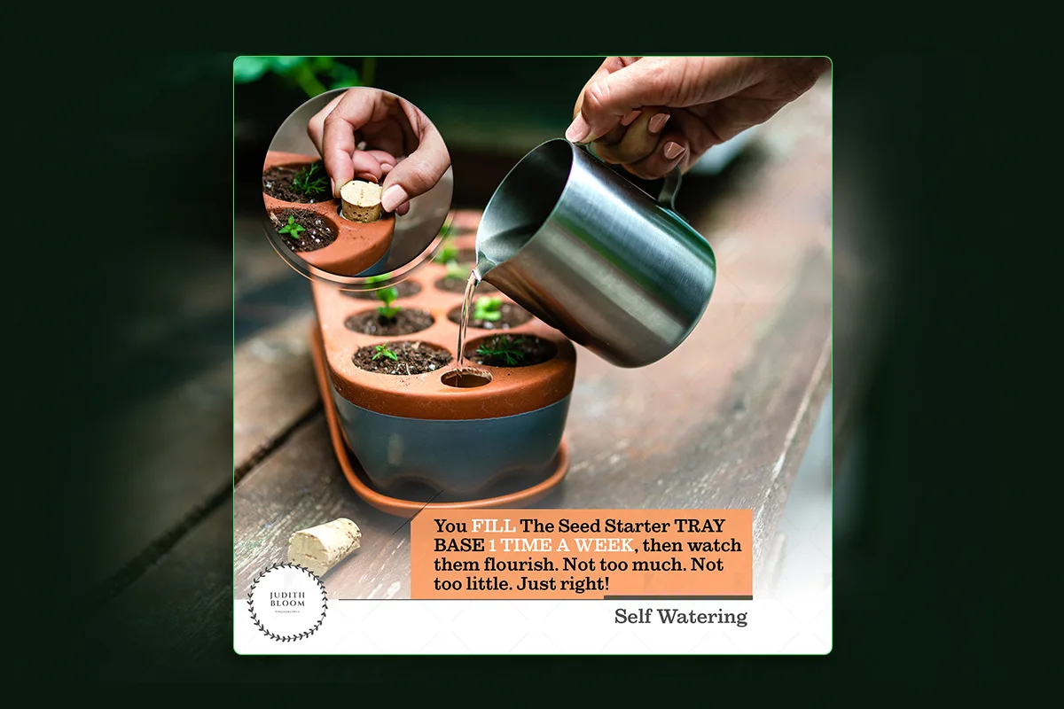 Garden Republic — Self watering