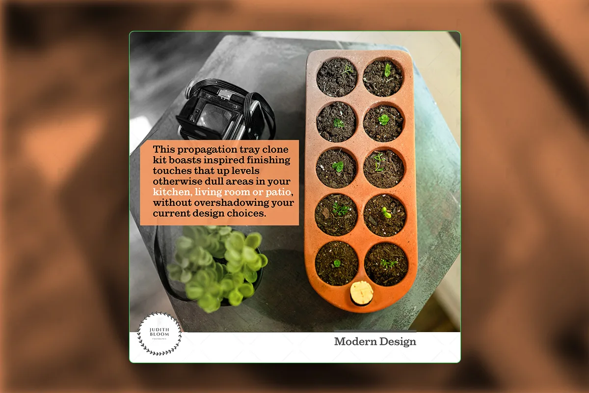 Garden Republic — Modern Design